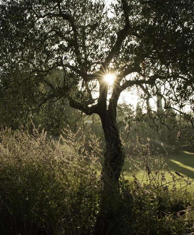 Villa Tenuta Santo Pietro à Pienza Extérieur photo